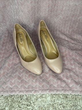 Abella Blush Nude Pointed Toe Heels